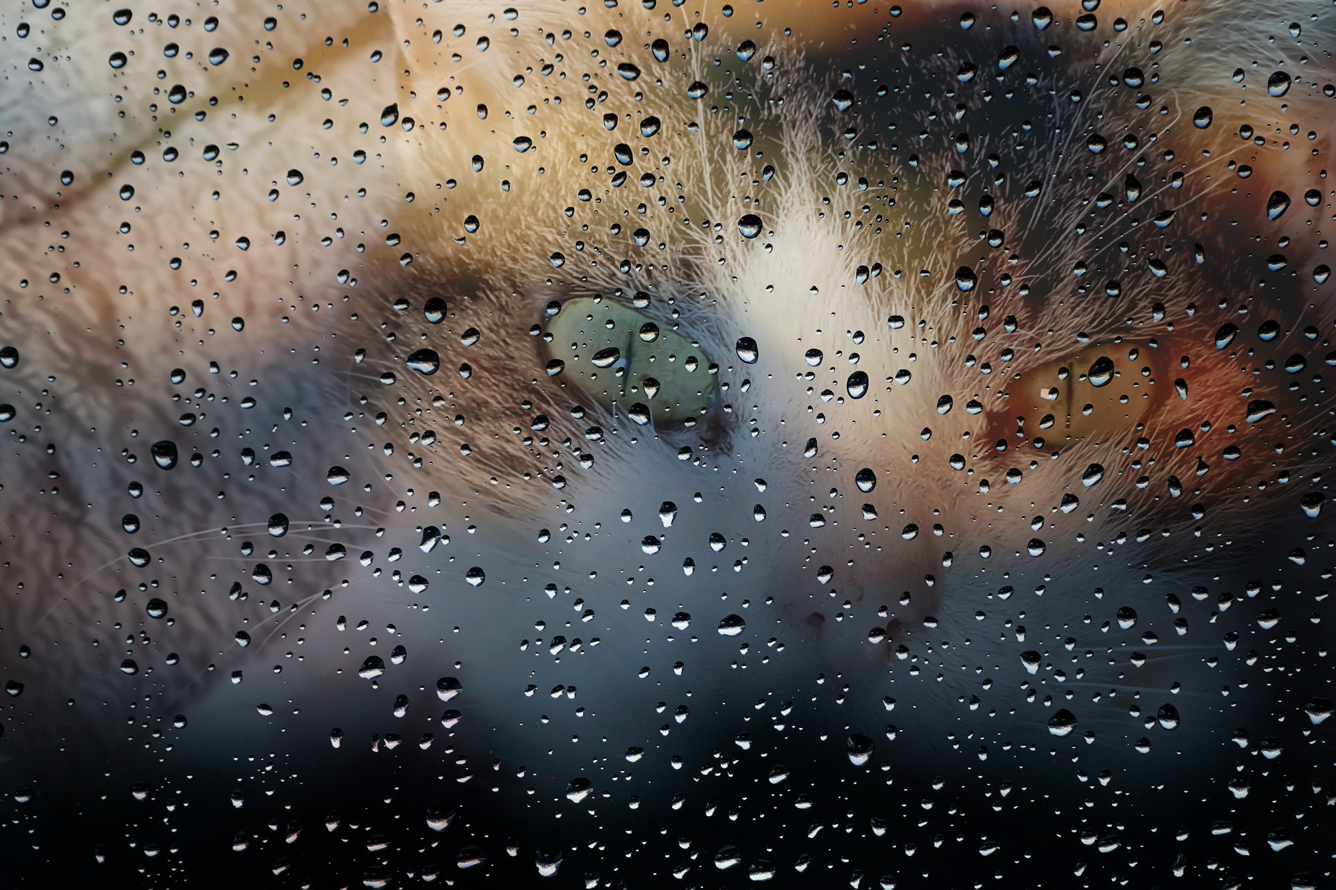 Regende verdriet